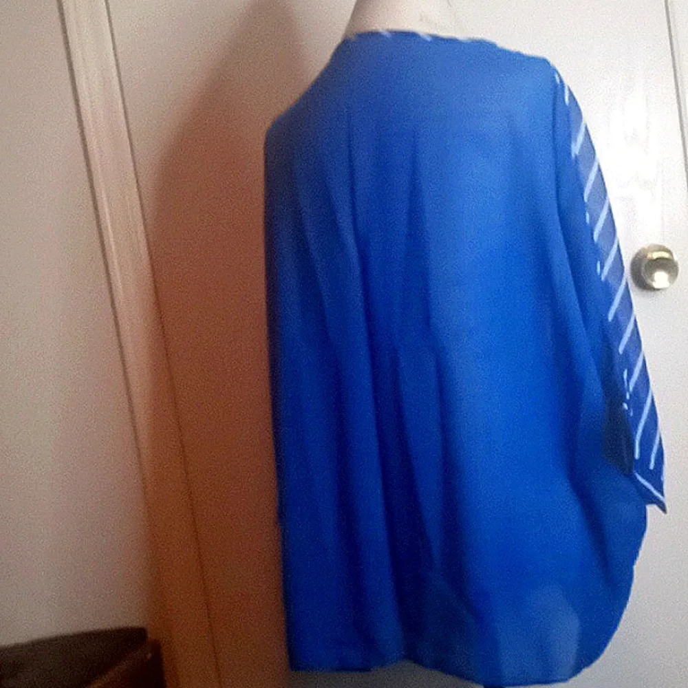 Sheer Ladies Top - Picture 4 of 4